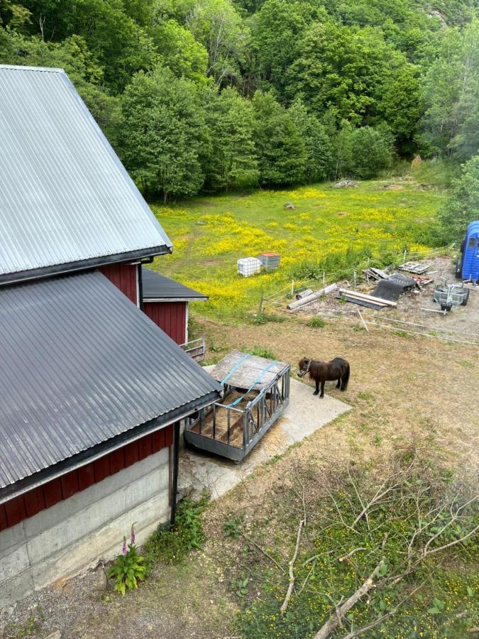 Appartement Bjorkely Gard à Rasvag Extérieur photo